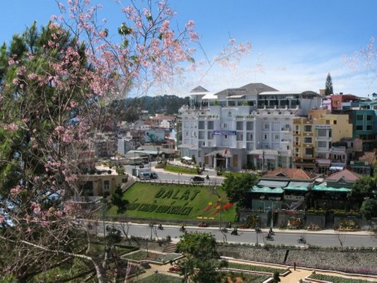 tour da lat 3 ngay 2 dem bang xe giuong nam