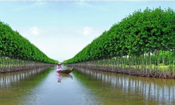tour du lịch cà mau